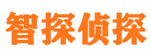 将乐市侦探公司